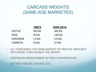 CARCASS WEIGHTS
(SAME AGE MARKETED)
1960’S NOW (2013)
CATTLE 160 KG 400 KG
PIGS 70 KG 140 KG
CHICKENS 1.4 KG 2.5 KG
TURKEYS 10 KG 21 KG
ALL CONSUMING THE SAME AMOUNT OF FEED AS 1960’S BUT
WITH MORE THAN DOUBLE THE WEIGHT
CONTINUED IMPROVEMENT IN FEED CONVERSATION
BETTER DISEASE CONTROL ETC.