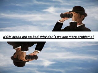 If GM crops are so bad, why don’t we see more problems?