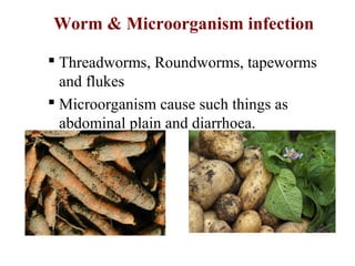 Worm & Microorganism infection 
 Threadworms, Roundworms, tapeworms 
and flukes 
 Microorganism cause such things as 
ab...