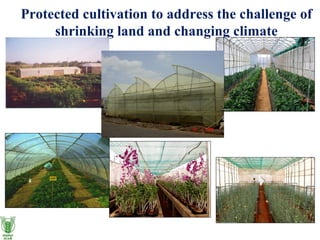 Hi-tech nursery 
• For off season nursery and crops 
• Improved quality 
• Increased Productivity 
• Reduced incidence of ...