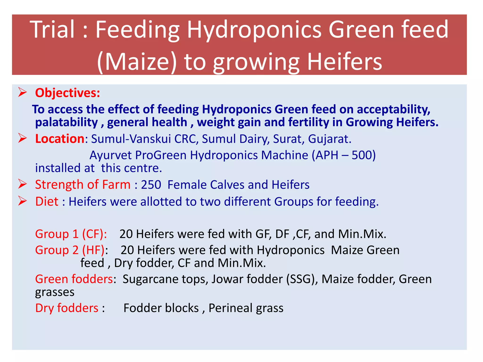 Trial : Feeding Hydroponics Green feed 
(Maize) to growing Heifers 
 Objectives: 
To access the effect of feeding Hydroponics Green feed on acceptability, 
palatability , general health , weight gain and fertility in Growing Heifers. 
 Location: Sumul-Vanskui CRC, Sumul Dairy, Surat, Gujarat. 
Ayurvet ProGreen Hydroponics Machine (APH – 500) 
installed at this centre. 
 Strength of Farm : 250 Female Calves and Heifers 
 Diet : Heifers were allotted to two different Groups for feeding. 
Group 1 (CF): 20 Heifers were fed with GF, DF ,CF, and Min.Mix. 
Group 2 (HF): 20 Heifers were fed with Hydroponics Maize Green 
feed , Dry fodder, CF and Min.Mix. 
Green fodders: Sugarcane tops, Jowar fodder (SSG), Maize fodder, Green 
grasses 
Dry fodders : Fodder blocks , Perineal grass 
 