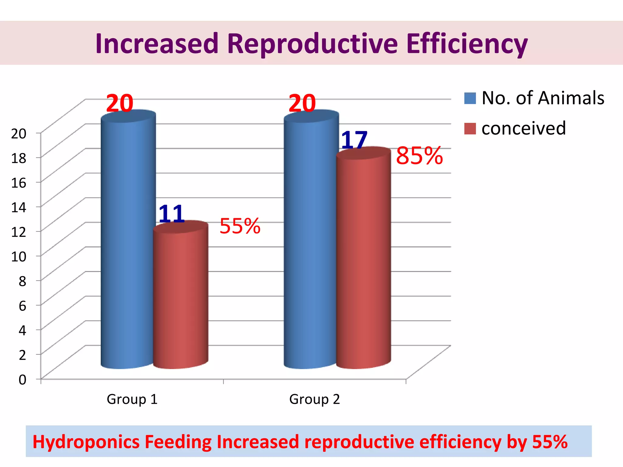 20 
18 
16 
14 
12 
10 
8 
6 
4 
2 
0 
Increased Reproductive Efficiency 
20 20 
11 
17 
Group 1 Group 2 
No. of Animals 
conceived 
85% 
55% 
Hydroponics Feeding Increased reproductive efficiency by 55% 
 