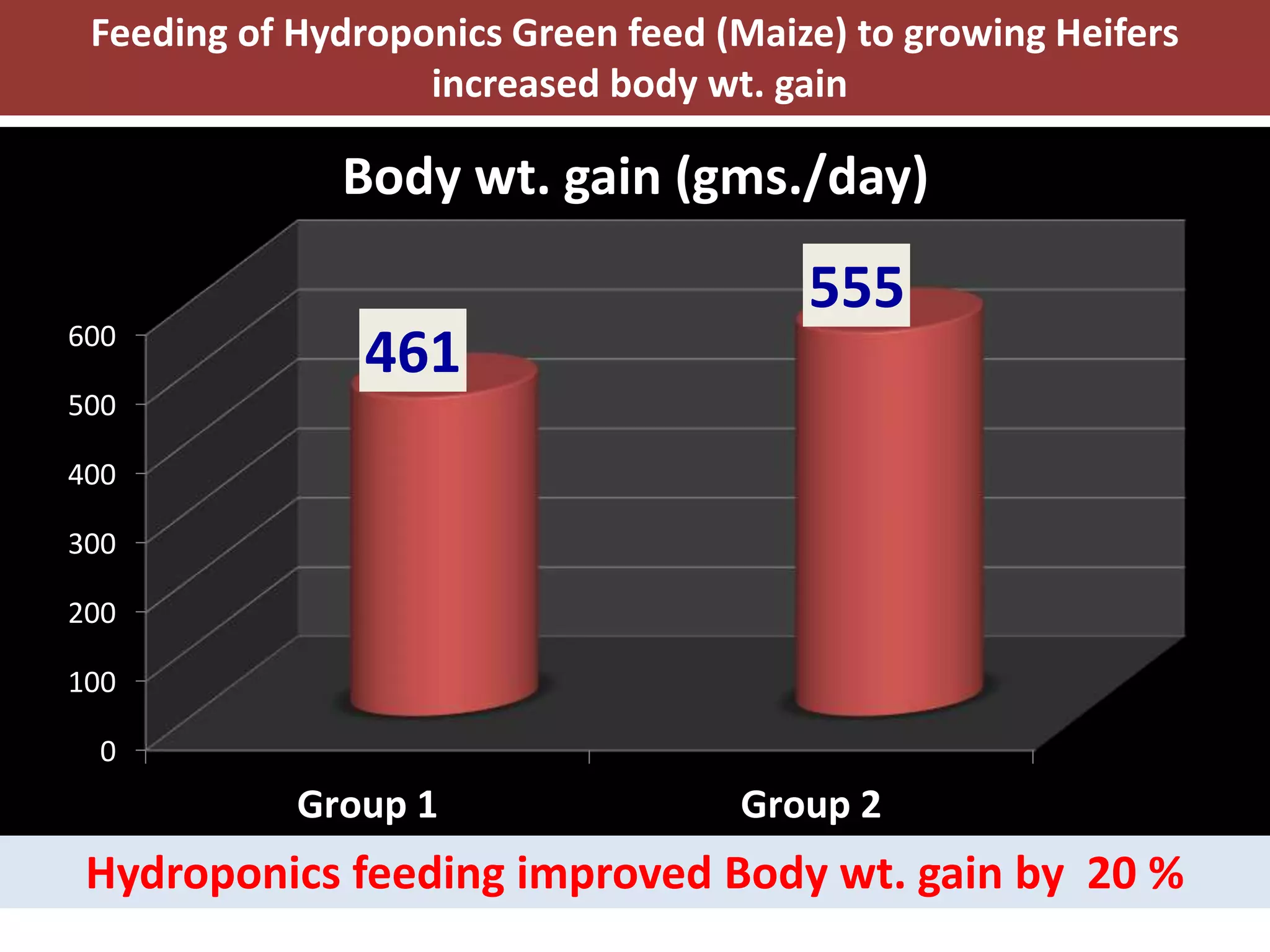 Feeding of Hydroponics Green feed (Maize) to growing Heifers 
600 
500 
400 
300 
200 
100 
0 
increased body wt. gain 
Body wt. gain (gms./day) 
461 
555 
Group 1 Group 2 
Hydroponics feeding improved Body wt. gain by 20 % 
 