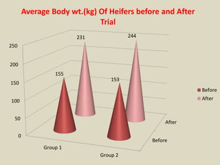 Average Body wt.(kg) Of Heifers before and After 
After 
Before 
250 
150 
100 
50 
0 
200 
Group 1 
Trial 
231 244 
Group 2 
155 
153 
Before 
After 
 