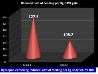 130 
125 
120 
115 
110 
105 
100 
95 
Reduced Cost of Feeding per Kg.B.Wt.gain 
127.5 
108.2 
Group 1 Group 2 
Hydroponics feeding reduced cost of feeding per kg Body wt. by 18% 
 