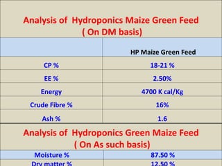 Analysis of Hydroponics Maize Green Feed 
( On DM basis) 
HP Maize Green Feed 
CP % 18-21 % 
EE % 2.50% 
Energy 4700 K cal/Kg 
Crude Fibre % 16% 
Ash % 1.6 
Analysis of Hydroponics Green Maize Feed 
( On As such basis) 
Moisture % 87.50 % 
Dry matter % 12.50 % 
 