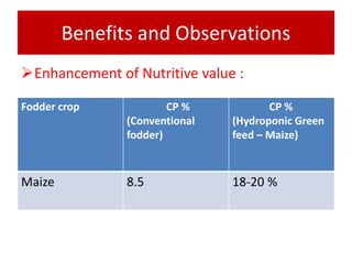 Benefits and Observations 
Enhancement of Nutritive value : 
Fodder crop CP % 
(Conventional 
fodder) 
CP % 
(Hydroponic Green 
feed – Maize) 
Maize 8.5 18-20 % 
 