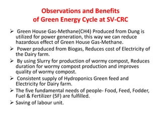 Observations and Benefits 
of Green Energy Cycle at SV-CRC 
 Green House Gas-Methane(CH4) Produced from Dung is 
utilized for power generation, this way we can reduce 
hazardous effect of Green House Gas-Methane. 
 Power produced from Biogas, Reduces cost of Electricity of 
the Dairy farm. 
 By using Slurry for production of wormy compost, Reduces 
duration for wormy compost production and improves 
quality of wormy compost. 
 Consistent supply of Hydroponics Green feed and 
Electricity for Dairy farm. 
 The five fundamental needs of people- Food, Feed, Fodder, 
Fuel & Fertilizer (5F) are fulfilled. 
 Saving of labour unit. 
 