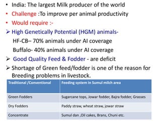 • India: The largest Milk producer of the world 
• Challenge :To improve per animal productivity 
• Would require :- 
 High Genetically Potential (HGM) animals- 
HF-CB– 70% animals under AI coverage 
Buffalo- 40% animals under AI coverage 
 Good Quality Feed & Fodder - are deficit 
 Shortage of Green feed/fodder is one of the reason for 
Breeding problems in livestock. 
Traditional /Conventional Feeding system in Sumul milch area 
Green Fodders Sugarcane tops, Jowar fodder, Bajra fodder, Grasses 
Dry Fodders Paddy straw, wheat straw, jowar straw 
Concentrate Sumul dan ,Oil cakes, Brans, Chuni etc. 
 
