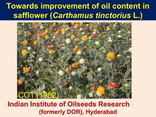 Towards improvement of oil content in
safflower (Carthamus tinctorius L.)
Indian Institute of Oilseeds Research
(formerly DOR), Hyderabad
CO1 (1982)
 