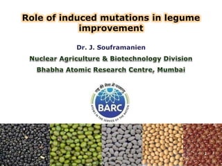 Role of induced mutations in legume
improvement
 
