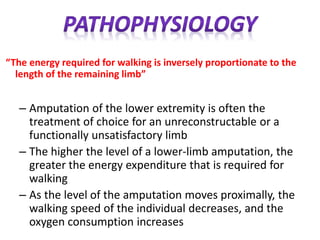 “The energy required for walking is inversely proportionate to the
length of the remaining limb”
– Amputation of the lower extremity is often the
treatment of choice for an unreconstructable or a
functionally unsatisfactory limb
– The higher the level of a lower-limb amputation, the
greater the energy expenditure that is required for
walking
– As the level of the amputation moves proximally, the
walking speed of the individual decreases, and the
oxygen consumption increases
 