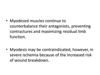 • Myodesed muscles continue to
counterbalance their antagonists, preventing
contractures and maximizing residual limb
function.
• Myodesis may be contraindicated, however, in
severe ischemia because of the increased risk
of wound breakdown.
 