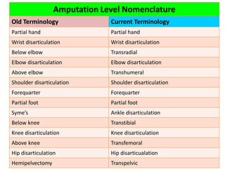 Amputation Level Nomenclature
Old Terminology Current Terminology
Partial hand Partial hand
Wrist disarticulation Wrist disarticulation
Below elbow Transradial
Elbow disarticulation Elbow disarticulation
Above elbow Transhumeral
Shoulder disarticulation Shoulder disarticulation
Forequarter Forequarter
Partial foot Partial foot
Syme’s Ankle disarticulation
Below knee Transtibial
Knee disarticulation Knee disarticulation
Above knee Transfemoral
Hip disarticulation Hip disarticualation
Hemipelvectomy Transpelvic
 