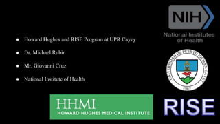 ● Howard Hughes and RISE Program at UPR Cayey
● Dr. Michael Rubin
● Mr. Giovanni Cruz
● National Institute of Health
 