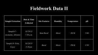 Fieldwork Data II
Sample Extraction
Date & Time
Collected
Site Features Humidity Temperature pH
Sample C -
Asomante, Aibonito
01/29/15
7:30 a.m.
Semi Rural Moist 293 K 5.00
Sample D- Toita,
Cayey
01/28/15
5:30 pm
Rural Moist 298 K 5.50
 