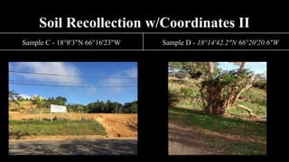 Soil Recollection w/Coordinates II
Sample C - 18°8'3"N 66°16'23"W Sample D - 18°14'42.2"N 66°20'20.6"W
 