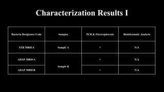 Characterization Results I
Bacteria Designator Code Samples PCR & Electrophoresis Bioinformatic Analysis
ATB 30R01A Sample A + N/A
ADAP 30R01A
Sample B
+ N/A
ADAP 30R01B + N/A
 