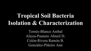 Tropical Soil Bacteria
Isolation & Characterization
Tornés-Blanco Anibal
Alicea-Pauneto Abneil D.
Colón-Rivera Ramón B.
González-Piñeiro Ann
 