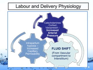 Page 6
Labour and Delivery Physiology
FLUID SHIFT
(From Vascular
compartment to
Interstitium)
Intrapartum
hypoxia –
Increased
Capillary
Permeability
Catecholamines
, Cortisol ,
Vasopressin -
Increased
Arterial
Pressure
 