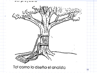 DPyAS
MINISTERIO DE SALUD Y
DEPORTES 56
 