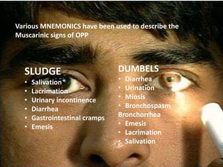 Various MNEMONICS have been used to describe the
Muscarinic signs of OPP
SLUDGE
• Salivation
• Lacrimation
• Urinary incontinence
• Diarrhea
• Gastrointestinal cramps
• Emesis
DUMBELS
• Diarrhea
• Urination
• Miosis
• Bronchospasm
Bronchorrhea
• Emesis
• Lacrimation
• Salivation
 