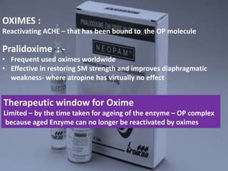 OXIMES :
Reactivating ACHE – that has been bound to the OP molecule
Pralidoxime : -
• Frequent used oximes worldwide
• Effective in restoring SM strength and improves diaphragmatic
weakness- where atropine has virtually no effect
Therapeutic window for Oxime
Limited – by the time taken for ageing of the enzyme – OP complex
because aged Enzyme can no longer be reactivated by oximes
 