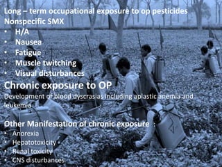 Long – term occupational exposure to op pesticides
Nonspecific SMX
• H/A
• Nausea
• Fatigue
• Muscle twitching
• Visual disturbances
Chronic exposure to OP
Development of blood dyscrasias including aplastic anemia and
leukemia
Other Manifestation of chronic exposure :
• Anorexia
• Hepatotoxicity
• Renal toxicity
• CNS disturbances
 