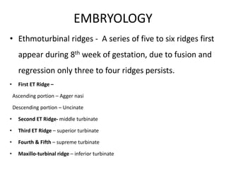 surgical approaches to frontal sinus ppt | PPTX
