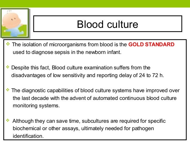blood culture report sle microbiological testing in neonatal intensive unit blood culture report sle microbiological testing in neonatal intensive unit