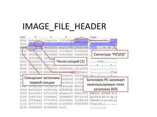 IMAGE_FILE_HEADER
Сигнатура “PE00”
Число секций (1)
Смещение заголовка
первой секции
Заголовок PE занимает
неиспользуемые поля
заголовка DOS
 