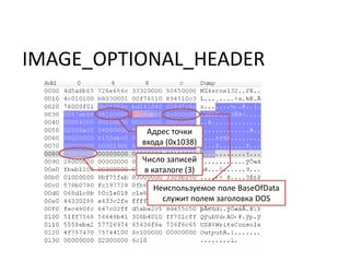 IMAGE_OPTIONAL_HEADER
Адрес точки
входа (0x1038)
Неиспользуемое поле BaseOfData
служит полем заголовка DOS
Число записей
в каталоге (3)
 