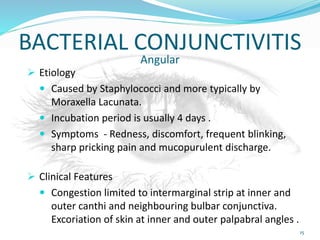 BACTERIAL CONJUNCTIVITIS
Angular
 Etiology
 Caused by Staphylococci and more typically by
Moraxella Lacunata.
 Incubation period is usually 4 days .
 Symptoms - Redness, discomfort, frequent blinking,
sharp pricking pain and mucopurulent discharge.
 Clinical Features
 Congestion limited to intermarginal strip at inner and
outer canthi and neighbouring bulbar conjunctiva.
Excoriation of skin at inner and outer palpabral angles .
15
 