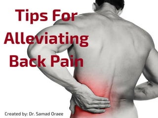 Dr. Samad Oraee: Tips For Alleviating Back Pain