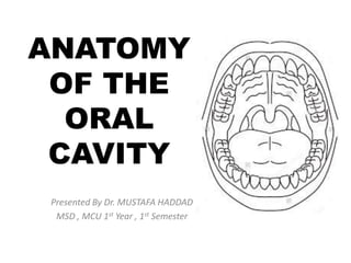 ANATOMY
OF THE
ORAL
CAVITY
Presented By Dr. MUSTAFA HADDAD
MSD , MCU 1st Year , 1st Semester
 
