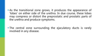  As the transitional zone grows, it produces the appearance of
‘lobes' on either side of the urethra. In due course, these lobes
may compress or distort the preprostatic and prostatic parts of
the urethra and produce symptoms.
 The central zone surrounding the ejaculatory ducts is rarely
involved in any disease.
 