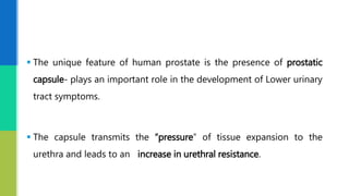 The unique feature of human prostate is the presence of prostatic
capsule- plays an important role in the development of Lower urinary
tract symptoms.
 The capsule transmits the “pressure” of tissue expansion to the
urethra and leads to an increase in urethral resistance.
 