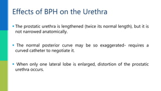  The prostatic urethra is lengthened (twice its normal length), but it is
not narrowed anatomically.
 The normal posterior curve may be so exaggerated- requires a
curved catheter to negotiate it.
 When only one lateral lobe is enlarged, distortion of the prostatic
urethra occurs.
Effects of BPH on the Urethra
 