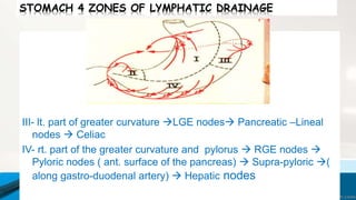STOMACH 4 ZONES OF LYMPHATIC DRAINAGE
III- lt. part of greater curvature LGE nodes Pancreatic –Lineal
nodes  Celiac
IV- rt. part of the greater curvature and pylorus  RGE nodes 
Pyloric nodes ( ant. surface of the pancreas)  Supra-pyloric (
along gastro-duodenal artery)  Hepatic nodes
 