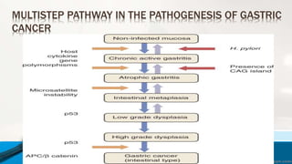 MULTISTEP PATHWAY IN THE PATHOGENESIS OF GASTRIC
CANCER
 