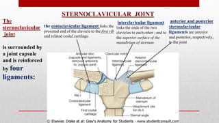 The
sternoclavicular
joint
is surrounded by
a joint capsule
and is reinforced
by four
ligaments:
anterior and posterior
sternoclavicular
ligaments are anterior
and posterior, respectively,
to the joint
the costoclavicular ligament links the
proximal end of the clavicle to the first rib
and related costal cartilage.
interclavicular ligament
links the ends of the two
clavicles to each other ; and to
the superior surface of the
manubrium of sternum
STERNOCLAVICULAR JOINT
 