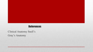 References
Clinical Anatomy Snell’s
Gray’s Anatomy
 