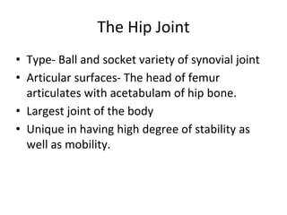 The Hip Joint
• Type- Ball and socket variety of synovial joint
• Articular surfaces- The head of femur
articulates with a...