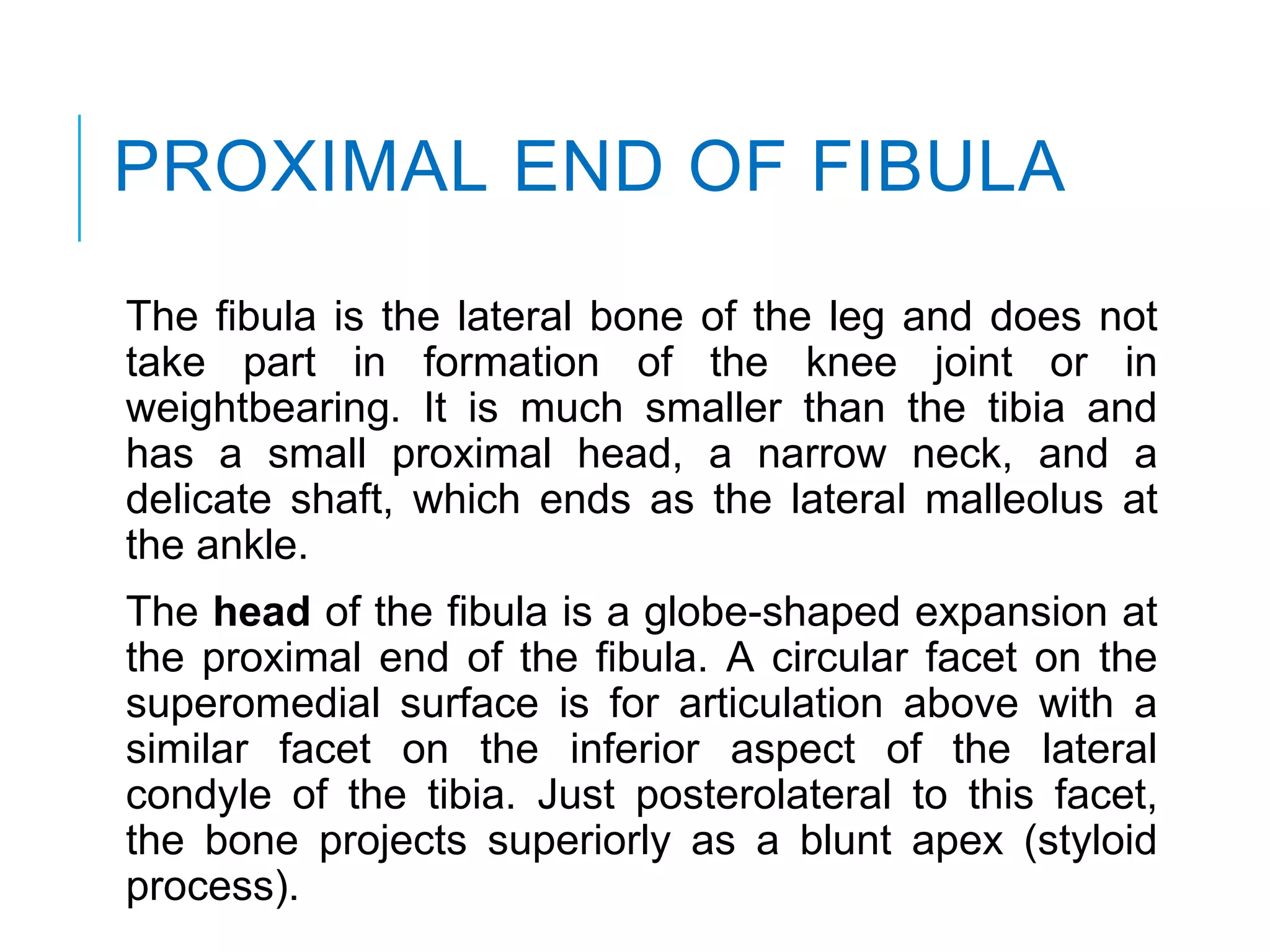 Dr. anurag applied anatomy of knee | PPTX