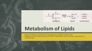 Metabolism of Lipids
Lipids: Introduction, hydrolysis of triacylglycerols; oxidation of fatty acids.
Oxidation of odd numbered fatty acids, fate of propionate, role of carnitine, degradation of
complex lipids.
 