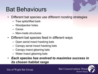 Bat Behaviours Dr. Jon Whitehurst - Bats, Maths and Maps - Nov 2016 | PPTX