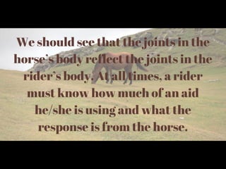 Dressage Positions 101