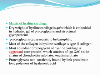  Matrix of hyaline cartilage:
 Dry weight of hyaline cartilage is 40% which is embedded
in hydrated gel of proteoglycans and structural
glycoproteins
 proteoglycans cause matrix to be basophilic
 Most of the collagen in hyaline cartilage is type II collagen
 Most abundant proteoglycan of hyaline cartilage is
aggrecan( core protein) which consists of 150 GAG’s side
chains of chondroitin sulphate, keratin sulphate
 Proteoglycans non-covalently bound by link proteins to
long polymers of hyaluronic acid
 