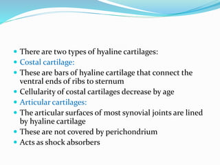  There are two types of hyaline cartilages:
 Costal cartilage:
 These are bars of hyaline cartilage that connect the
ventral ends of ribs to sternum
 Cellularity of costal cartilages decrease by age
 Articular cartilages:
 The articular surfaces of most synovial joints are lined
by hyaline cartilage
 These are not covered by perichondrium
 Acts as shock absorbers
 