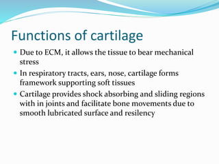 Functions of cartilage
 Due to ECM, it allows the tissue to bear mechanical
stress
 In respiratory tracts, ears, nose, cartilage forms
framework supporting soft tissues
 Cartilage provides shock absorbing and sliding regions
with in joints and facilitate bone movements due to
smooth lubricated surface and resilency
 